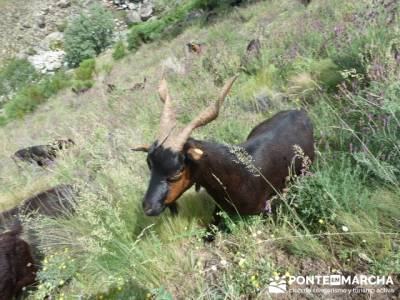 Parque Nacional Monfragüe - Reserva Natural Garganta de los Infiernos-Jerte;senderistas madrid